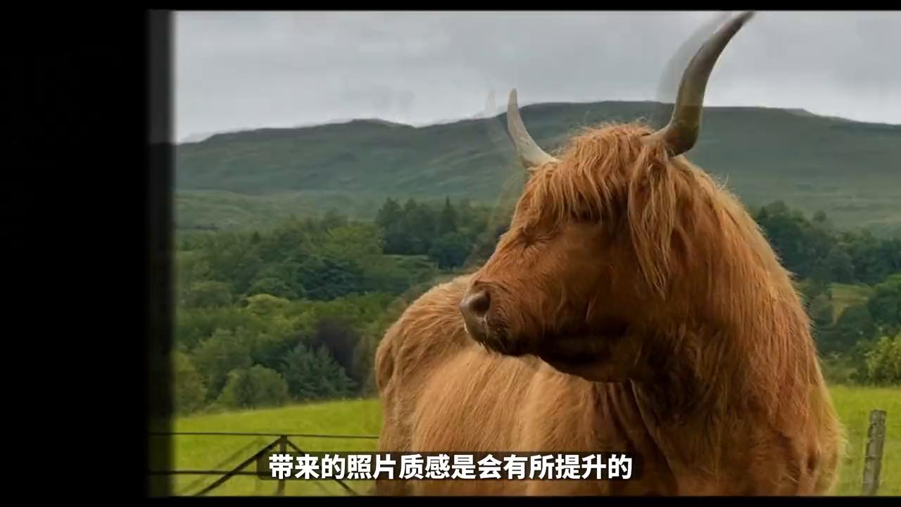 iphone15全系列推荐哪个,iphone15全系列推荐