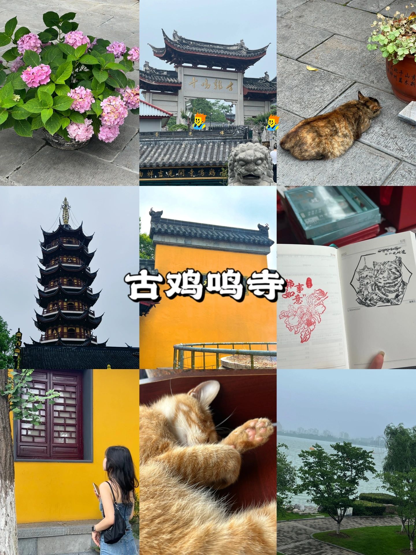 南京旅游攻略超详细穷游,南京旅游攻略自驾游