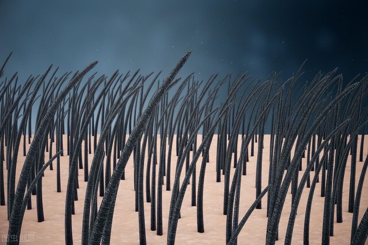 咋感觉越来越秃有没有生发小技巧 (20岁头发秃了通过药物可以生发吗)