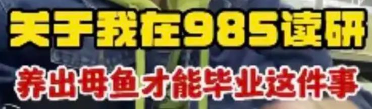 靠养鱼火了的985硕士，居然是《最强大脑》的隐藏黑马？