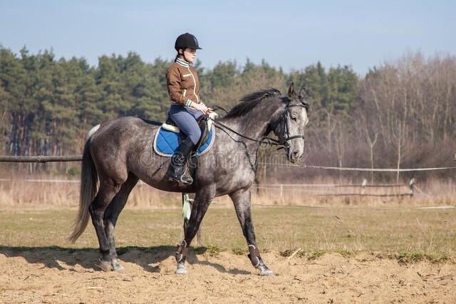 苏州旅游攻略二天一夜不逛园林,苏州一日游有什么推荐的