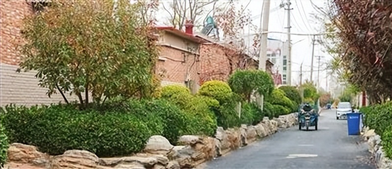 澶╂触甯傚寳杈板尯鍙屽彛闀囩ず鑼冮晣寤鸿,鍖楄景鍖烘帹鍔ㄥ弻鍙ｉ晣寤鸿