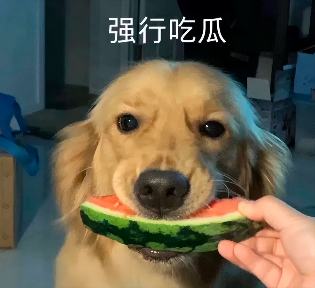 国足太太团真实身材,国足太太团斗艳美如画