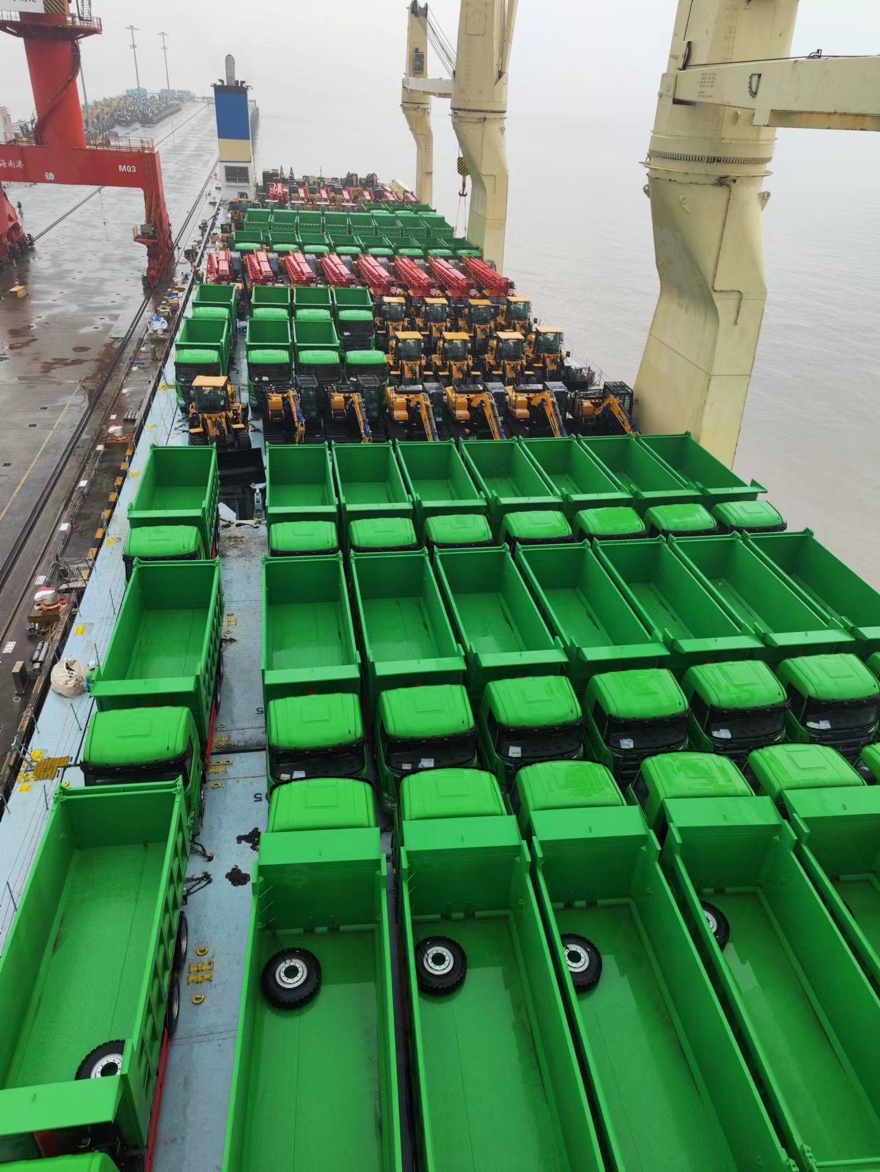 如何揭露打假船员黑中介,揭秘船员黑中介