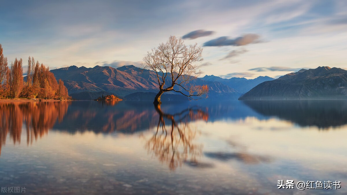 有效打造你的个人品牌,如何打造自我个人品牌