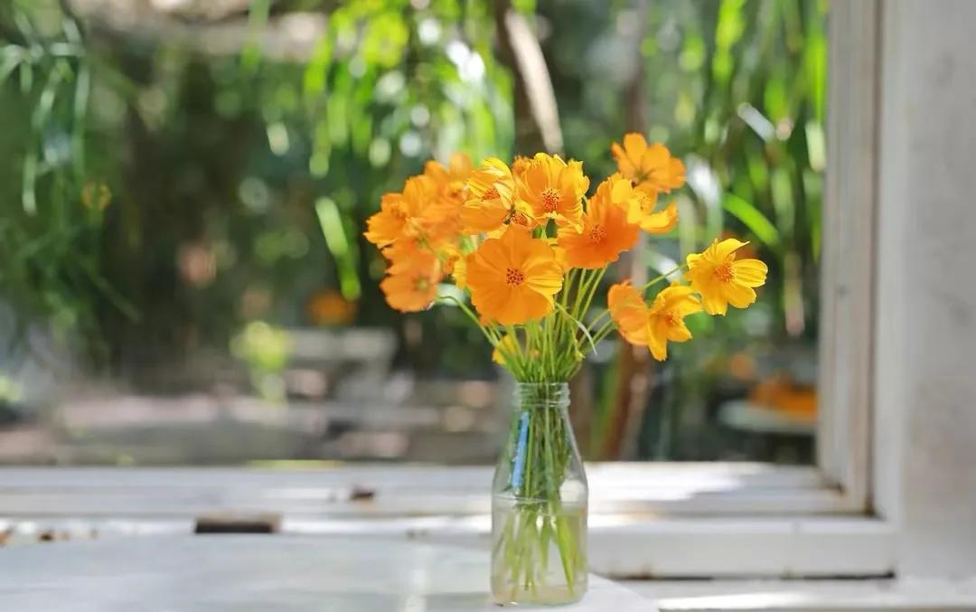 简单自由的家庭主妇,家庭主妇一个月400的省钱方法