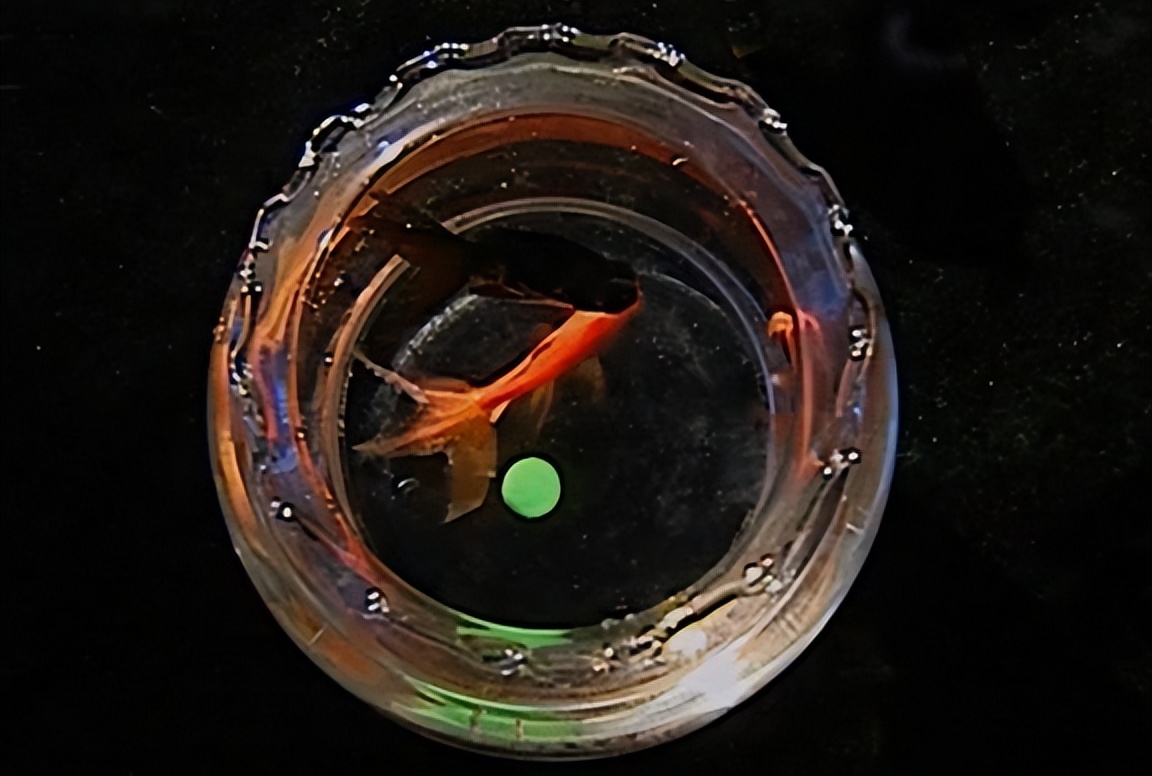 大叔因救人获赠“小石头”，20多年后发现：这是价值2亿的夜明珠