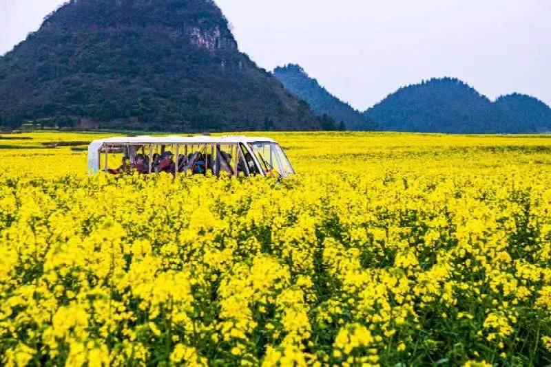 买基金最忌讳的一条,买基金犯什么错误