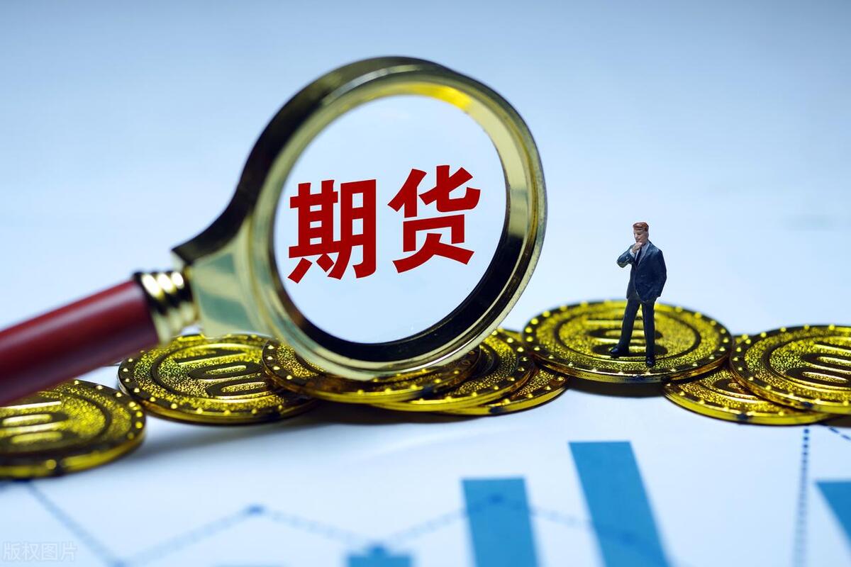 哪个期货品种波动一个点赚得最多,期货怎么看盘涨跌多少个点