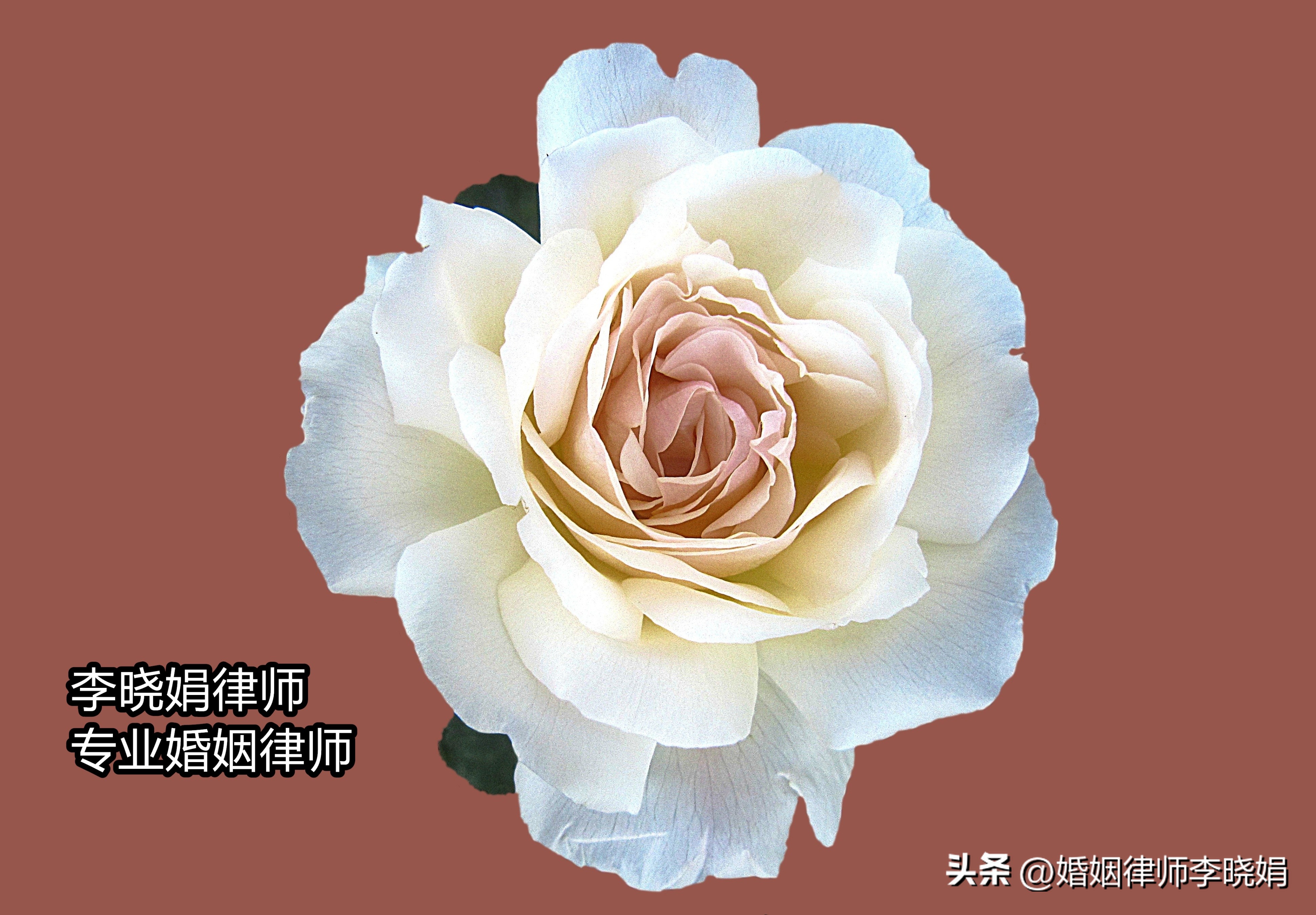 离婚起诉期另一方不还房贷怎么办,起诉离婚对方拒不偿还房贷