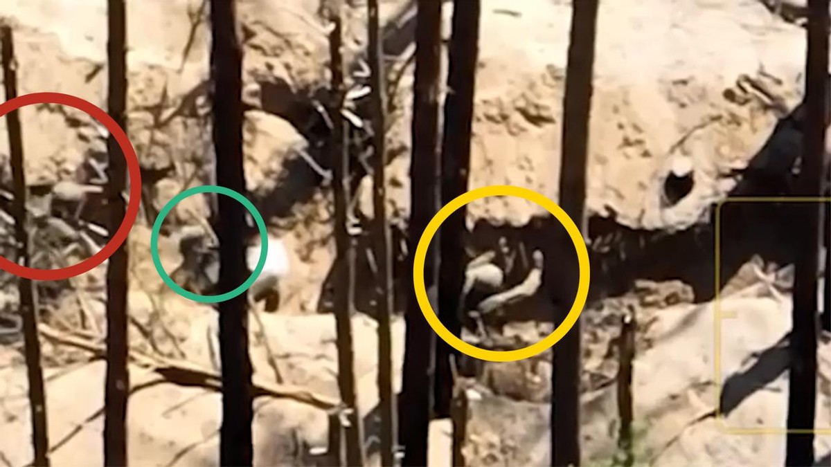 泽连斯基反驳乌军反攻陷入僵局,对泽连斯基在俄乌战争中的评价