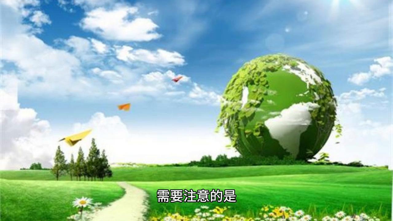 创业项目2024必火的创业项目,现在比较有前景的创业项目