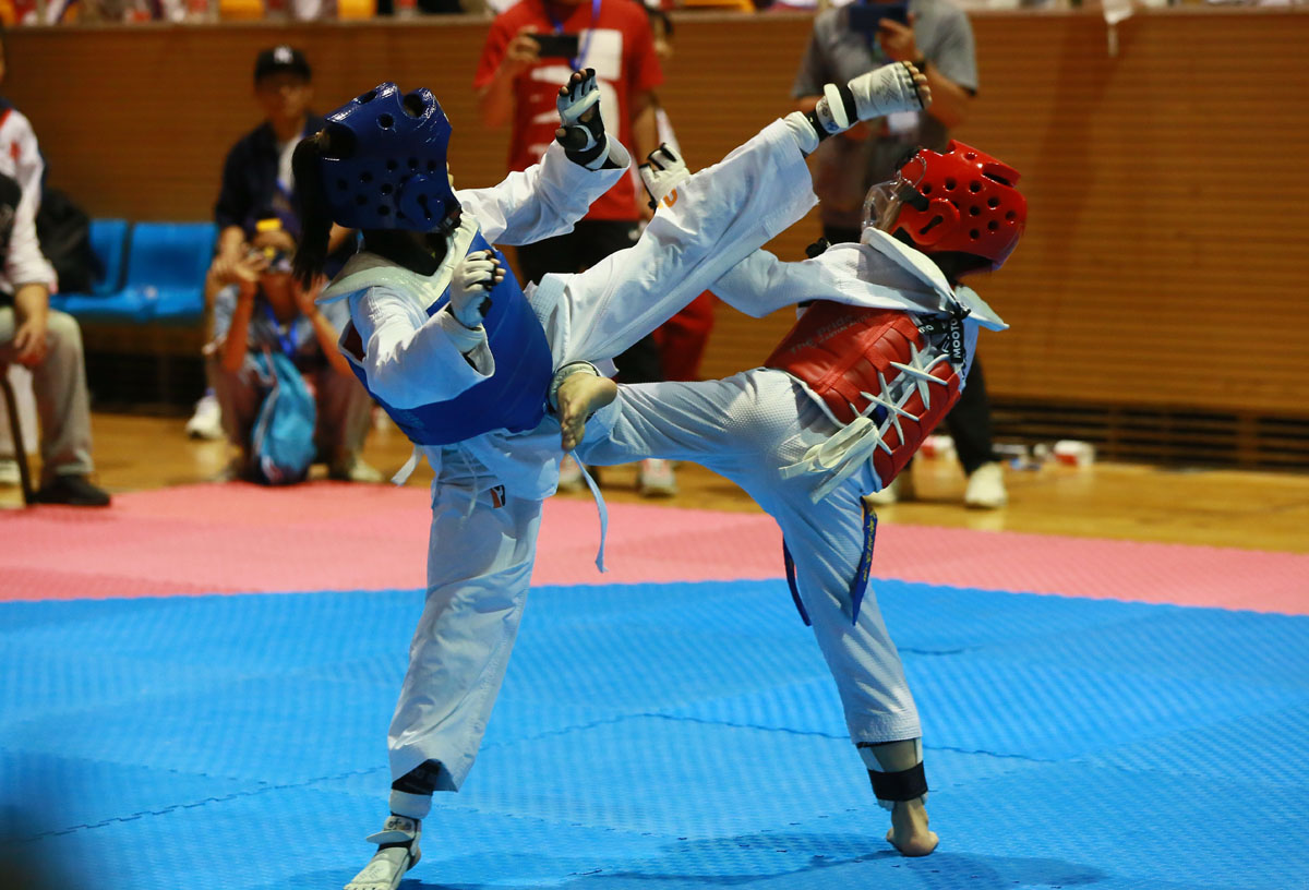 这场跆拳道比赛会让你惊叹！2023年“府学杯”在地坛体育馆举行