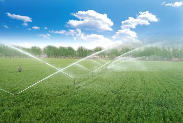 “退林还耕”全国开展，“农管”强制砍伐树木合法吗？来看3点