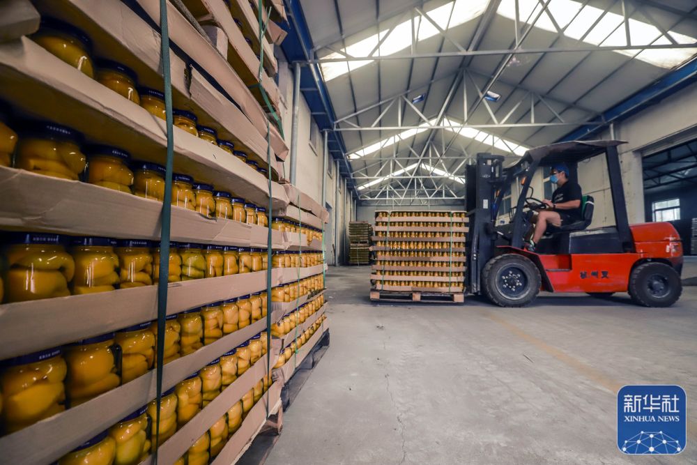 遵化农产品加工忙,遵化食品加工业帮农增收30亿元