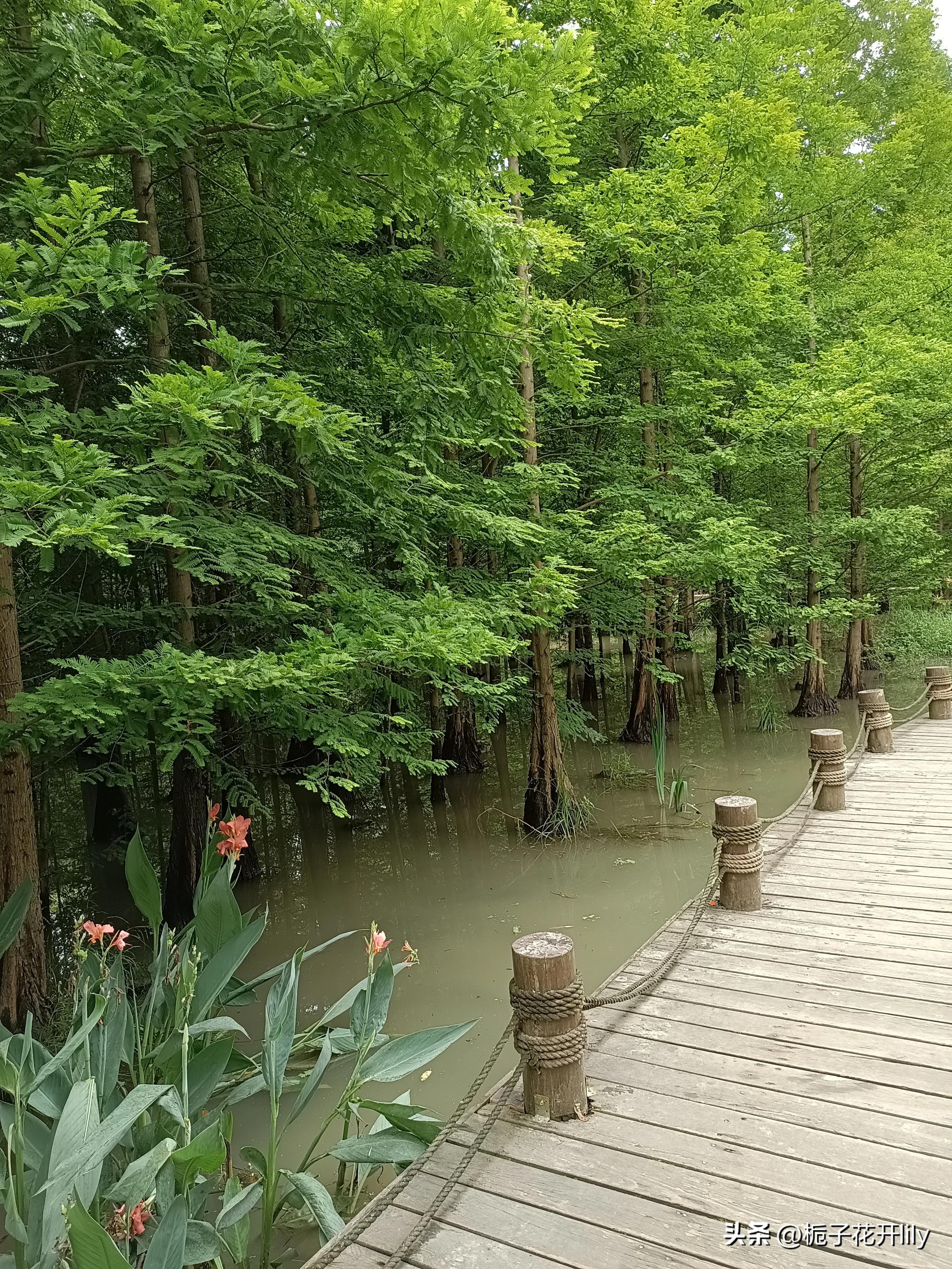 这周末可以在成都哪些地方玩,周末成都有哪些值得去的地方