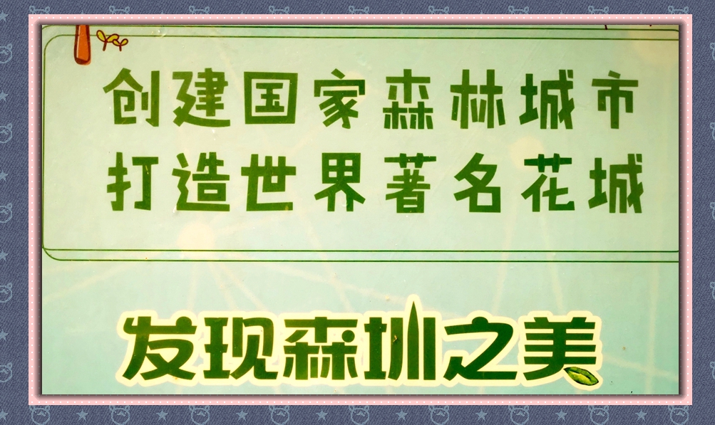 深圳成功打造世界著名花城,深圳打造国际花园城市