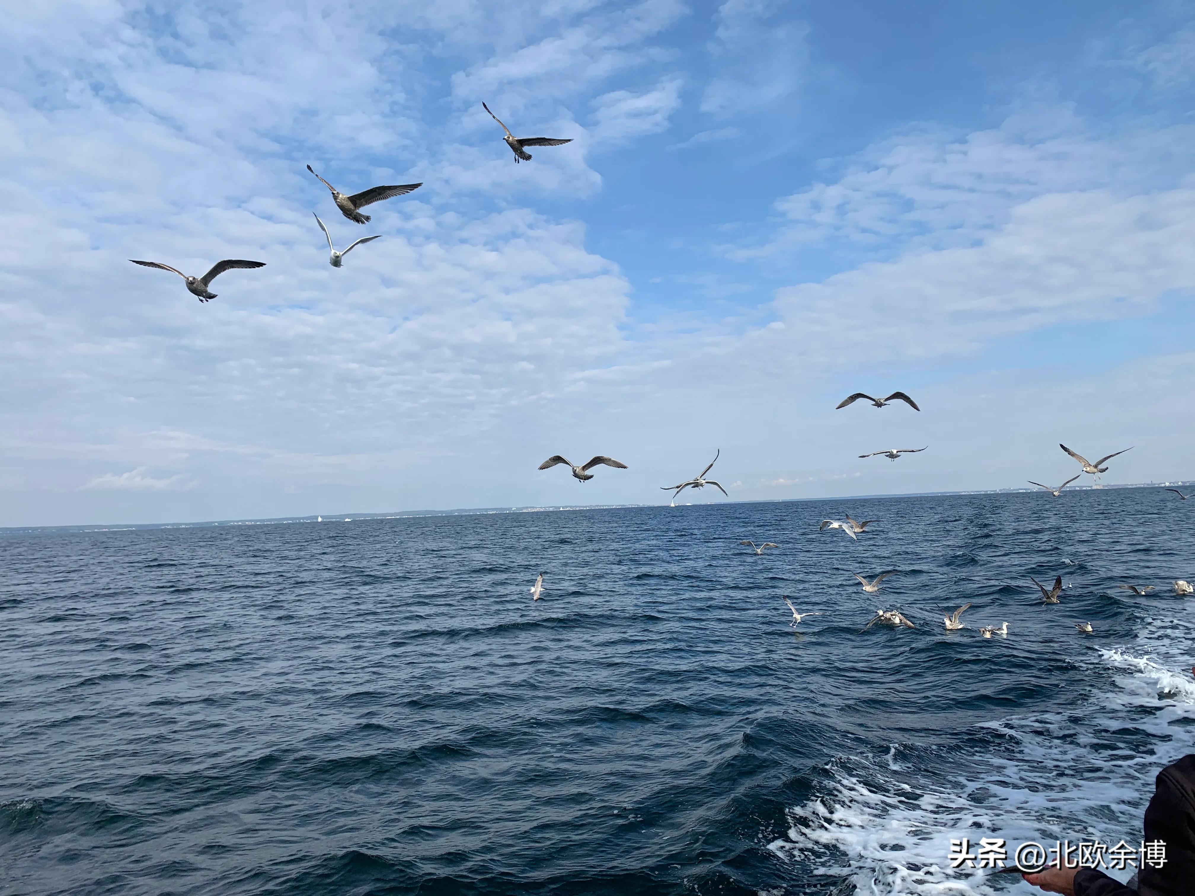 北欧五国到底哪个好,北欧五国哪个更适合生活