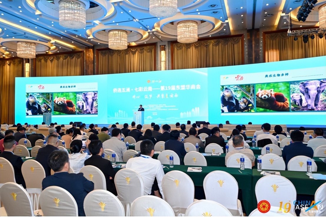 东盟华商会在昆明开幕,东盟华商大会