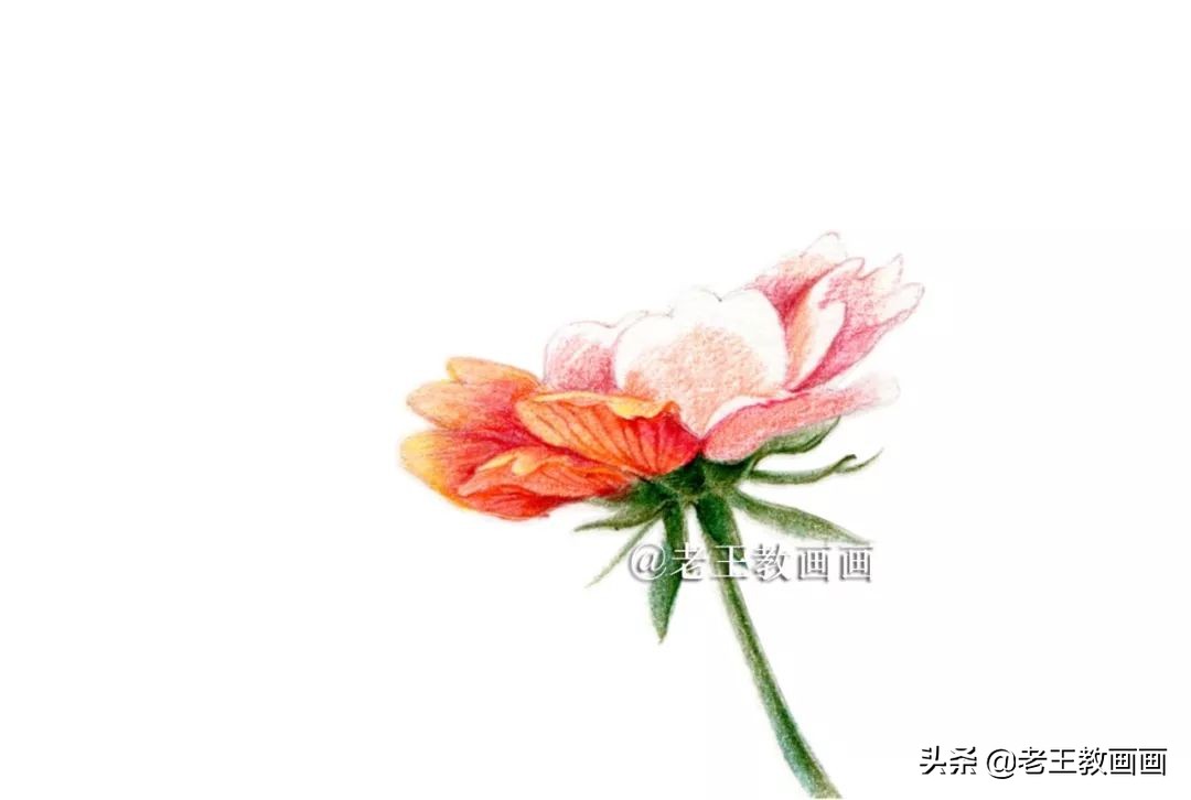 用彩铅画花教程,用彩铅画花小楼