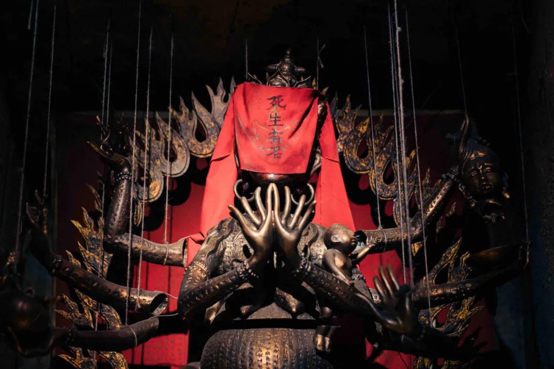 九月最值得看的新片,七月新片最想看哪部