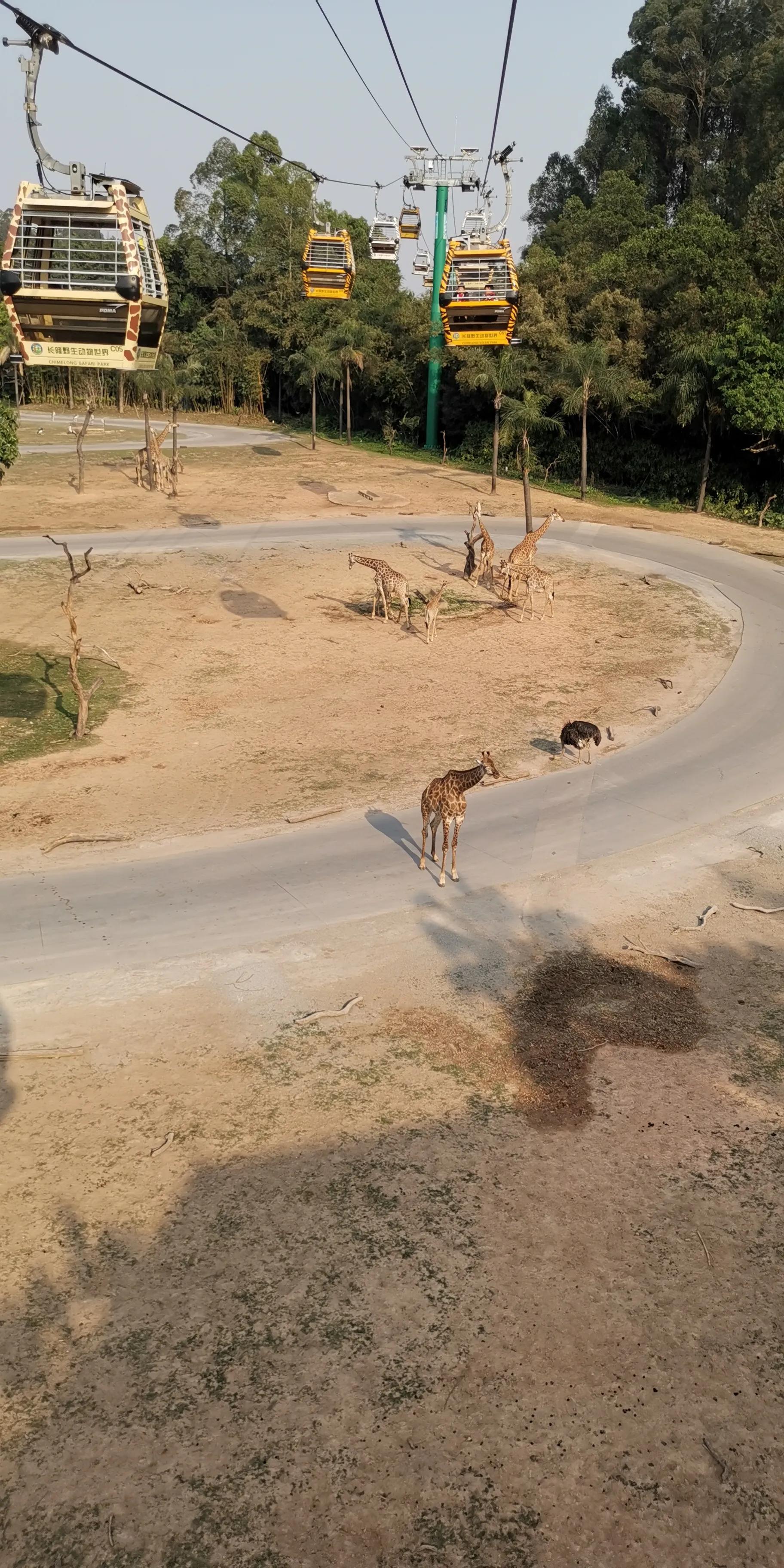 长隆套票二天一晚攻略,广州长隆最全游玩攻略