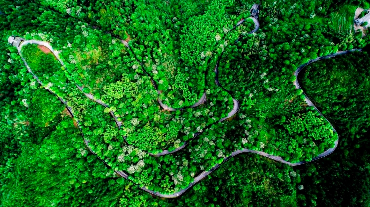 温州秋天的景,温州的秋天