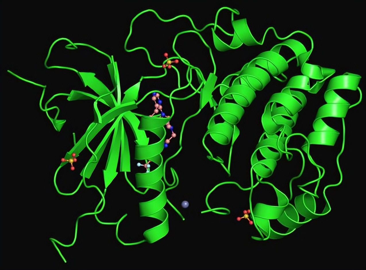 健身增肌好处的简介,锻炼和健身增肌的原理