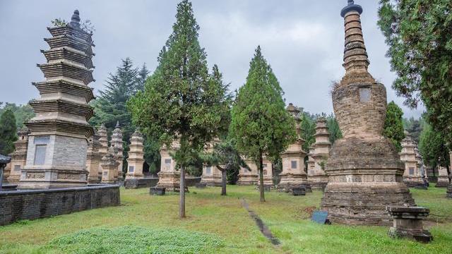 郑州南三环星级酒店,郑州6星级酒店