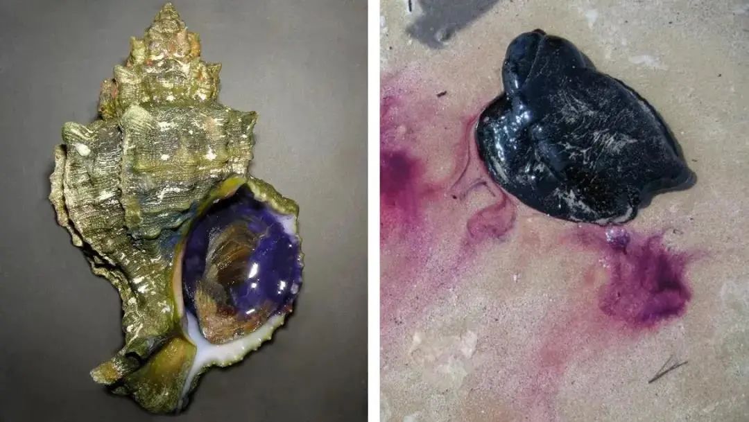 选择就像五彩斑斓的颜料,五彩斑斓的黑颜料