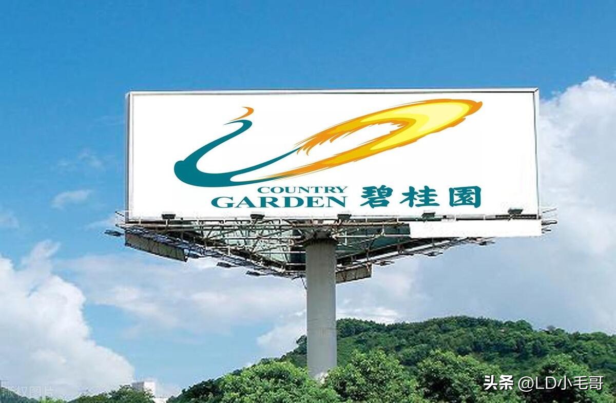 摩根大通增持碧桂园,摩根大通为什么投资碧桂园