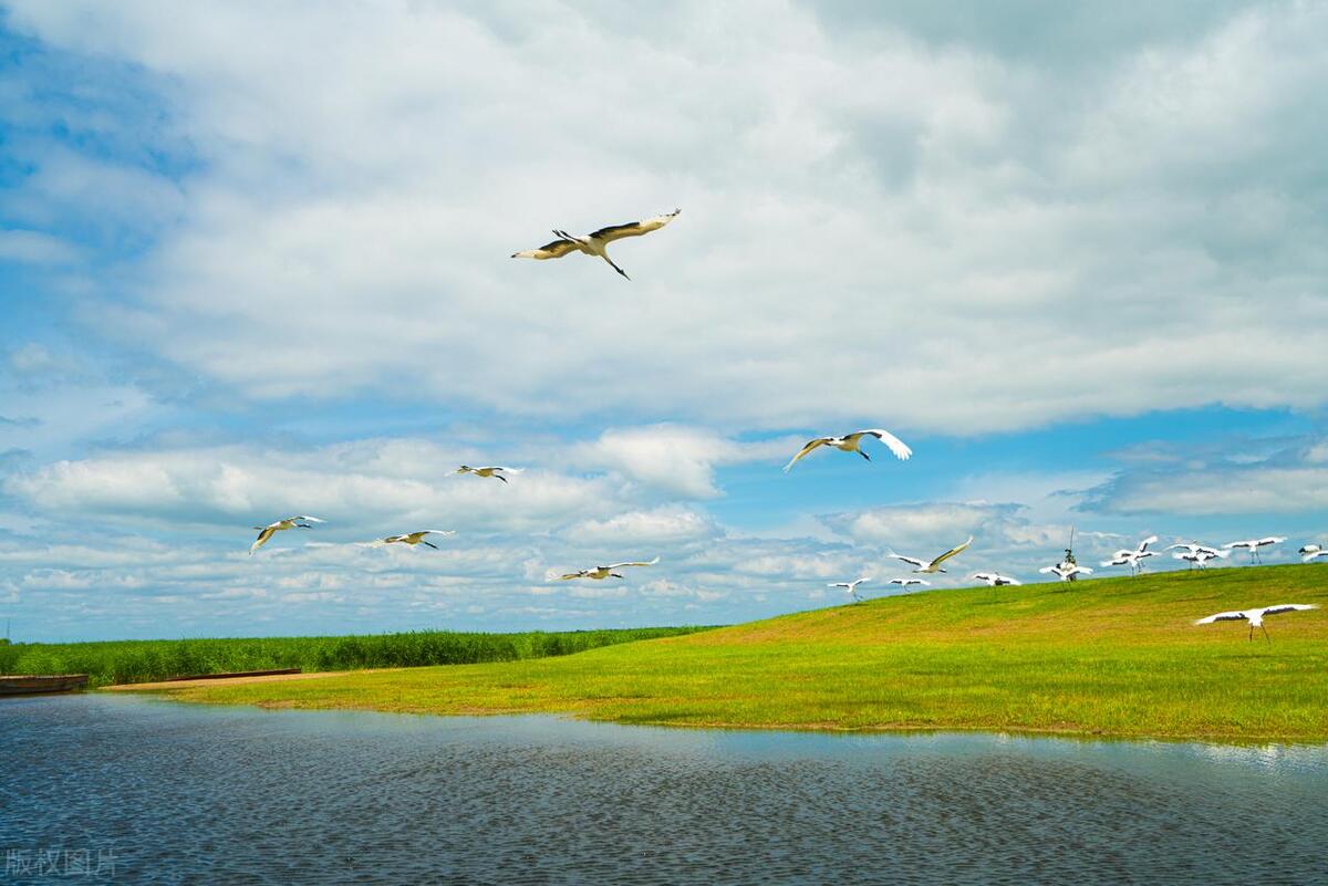 全国湿地最好的地方,中国十大湿地旅游景点排名前十