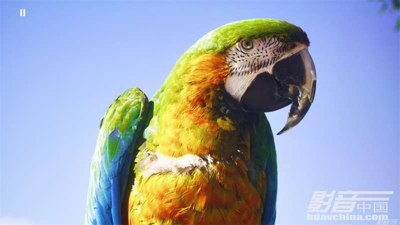 索尼xw7000激光投影机评测,索尼xw7000支持120帧吗