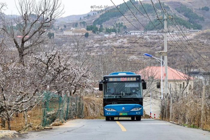 清明小攻略踏青避堵路线你知道吗,清明出行热门目的地