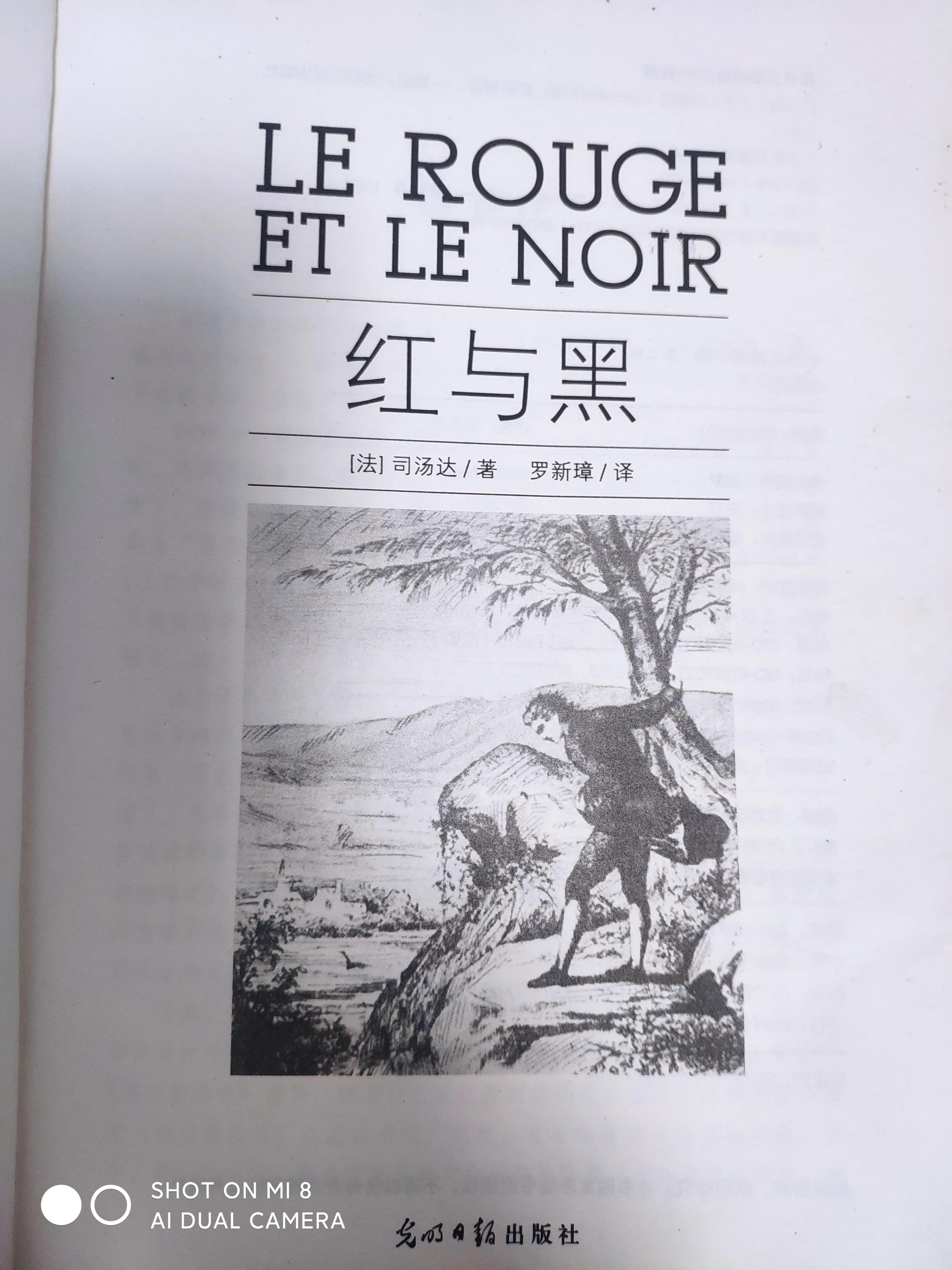 红与黑读后感1000字,红与黑读后感1000字英文版
