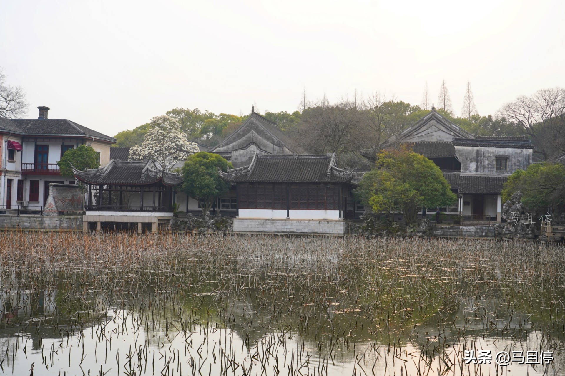 浙江南浔古镇有多美,南浔古镇名胜古迹有哪些