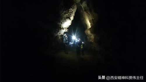 西安市脑康心理康复医院可靠吗,西安脑康心理医院