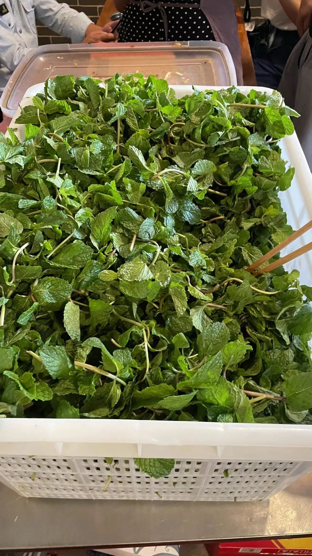 外地朋友来四川吃美食,外地朋友来四川吃苍蝇馆子