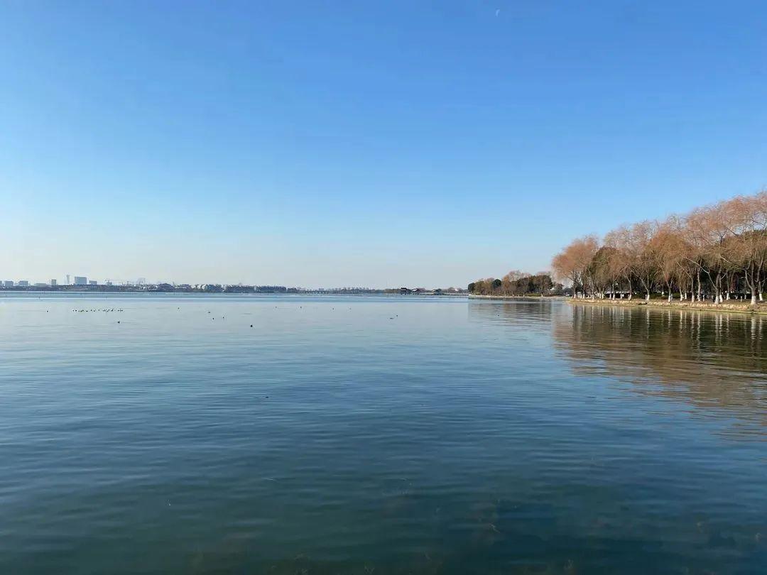 阳澄湖的美景与大闸蟹,苏州大闸蟹阳澄湖旅游度假区