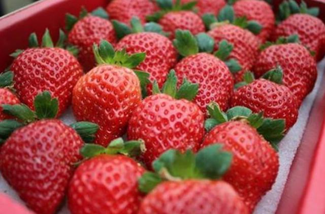 皮肤暗沉无光泽？医生：学会这几招，或提亮肌肤，养成“牛奶肌”