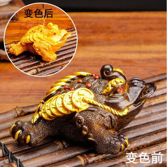 云南独龙江大量金蟾集结，网友：此乃祥瑞之兆，见金蟾就发大财！