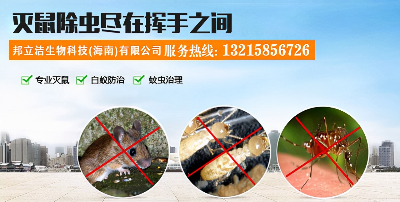 灭蟑螂最好的消灭剂,灭蟑螂洗洁精最有效的方法