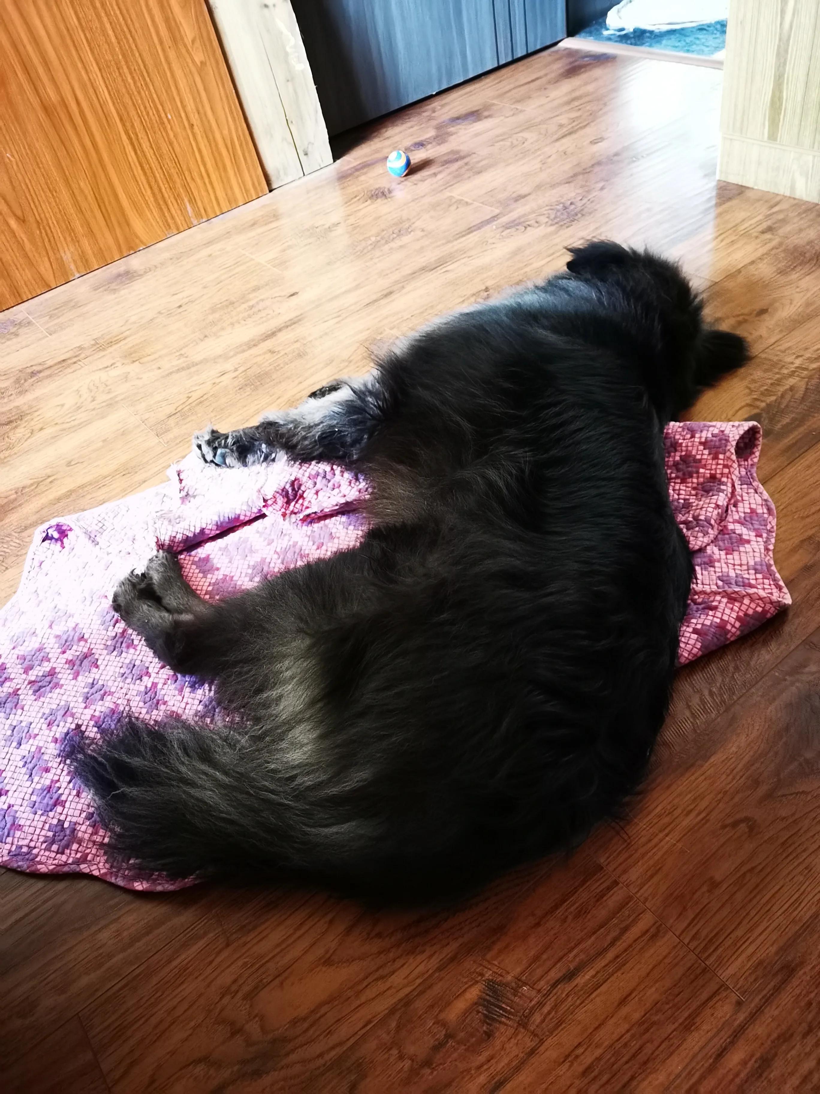 每一个冬天都会过去春天总会到来,别忧愁别烦恼一切都会过去的