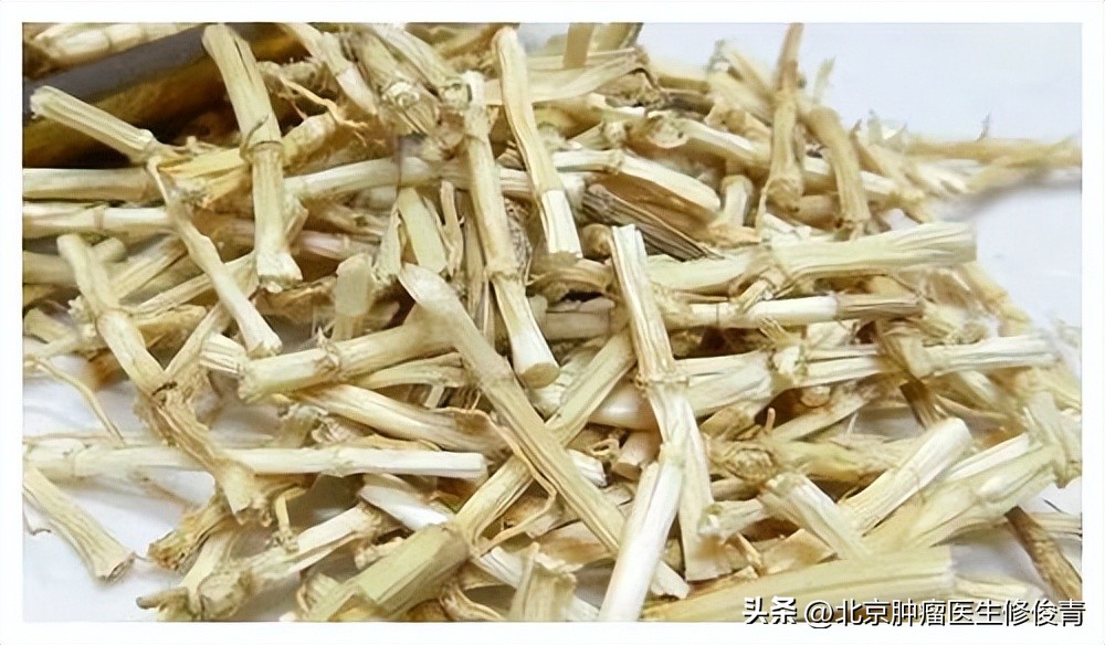 胰腺癌湿热蕴结型用什么方子,中医如何调理胰腺癌