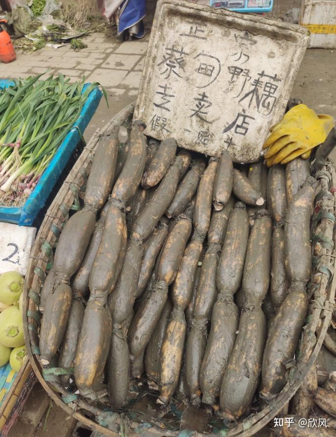 湖北十堰旅游攻略三日游,湖北到贵州三日游景点攻略图