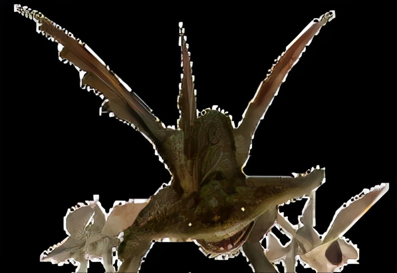 恐龙世界认识史前各种恐龙,食草恐龙和食肉恐龙科普视频