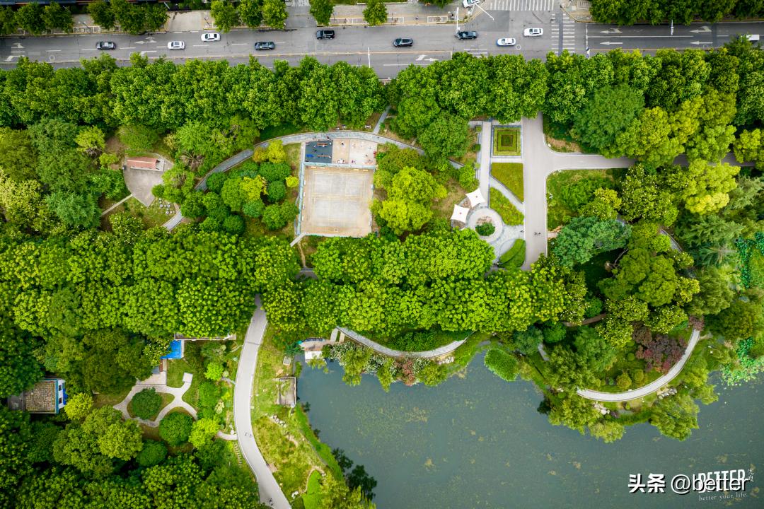 城中3处小众宝藏绿地，一起去散个步吗
