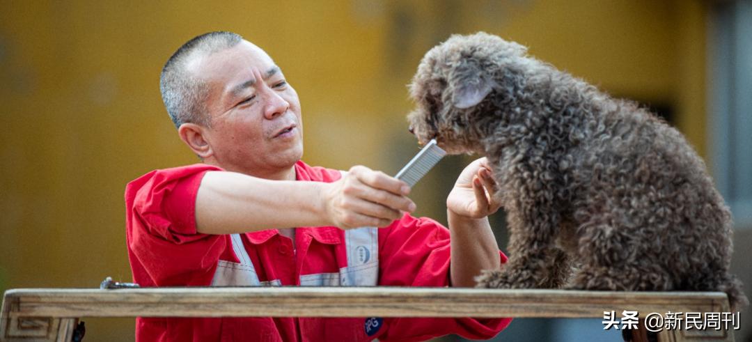 周杰伦新歌垃圾,垃圾周杰伦
