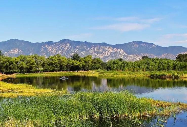 北京清明踏青旅游攻略,北京适合清明游玩的公园