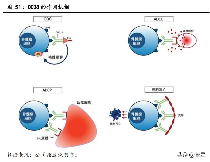康诺亚生物制剂,康诺亚深度分析